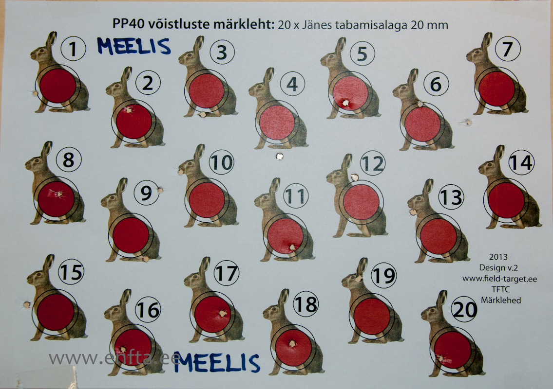 Best Springer Standing